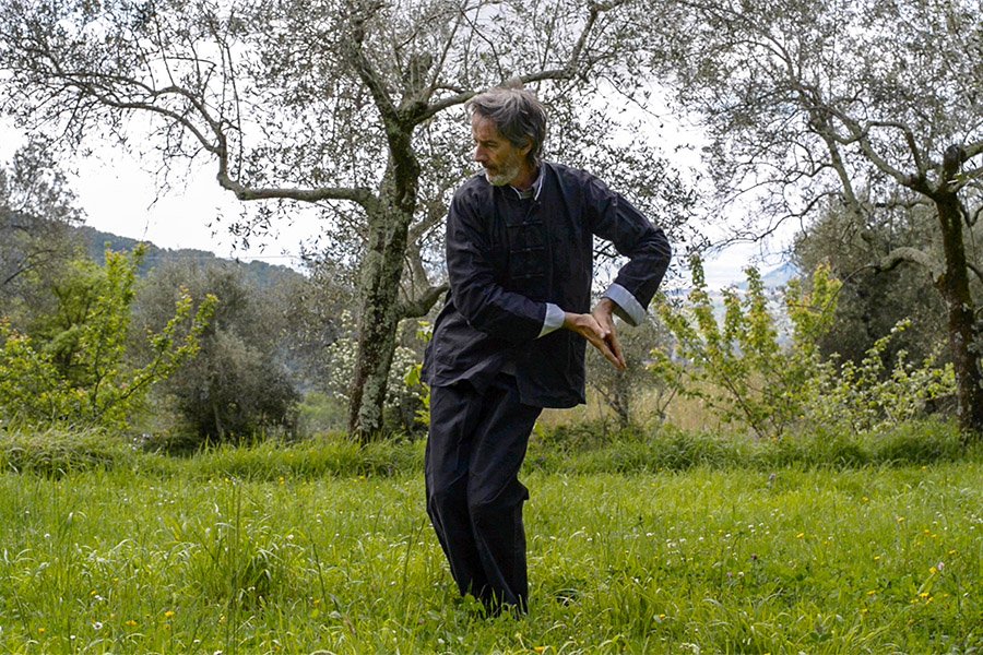 Qi Gong dei 5 Animali di Hua To - Corso di Qi Gong Online con Franco Bottalo